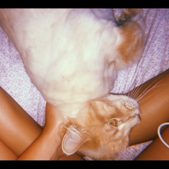 Meet your Posher, Alexis - Picture 1 of 1